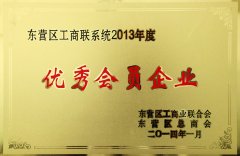 Dongying District Federation of system 2013 annual outstandi