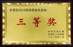 Dongying District Project Services Year prize