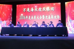 万通优发国际控股集团召开2016年度表彰大会暨迎春联欢会